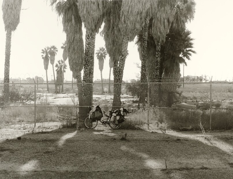 Los Cerritos Wetlands #1