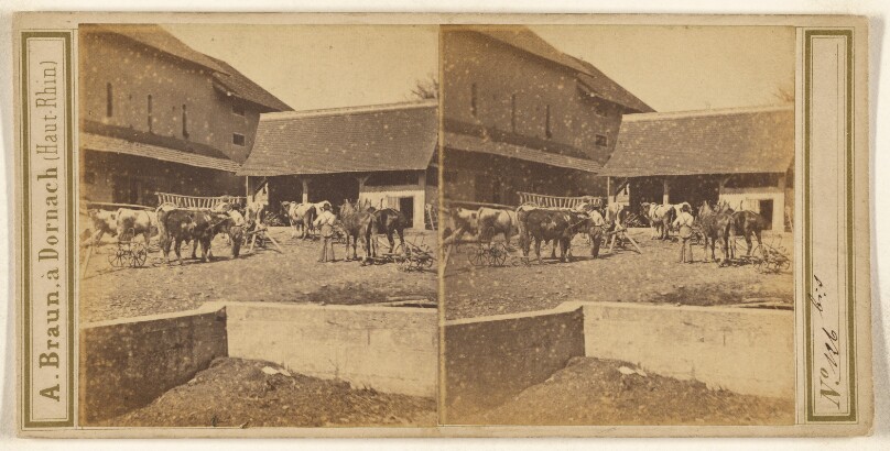 [Farm scene with farmers, cows and wagons, possibly in Switzerland]