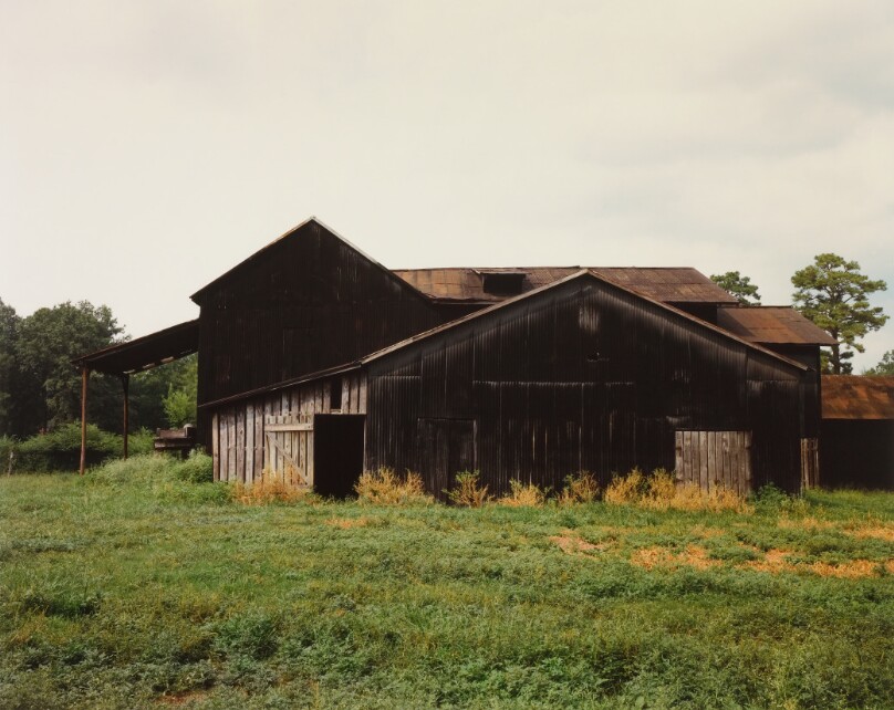 Black Buildings (South View), Newbern, Alabama