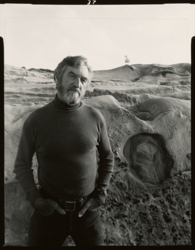 Portrait of Cole Weston, pose 5