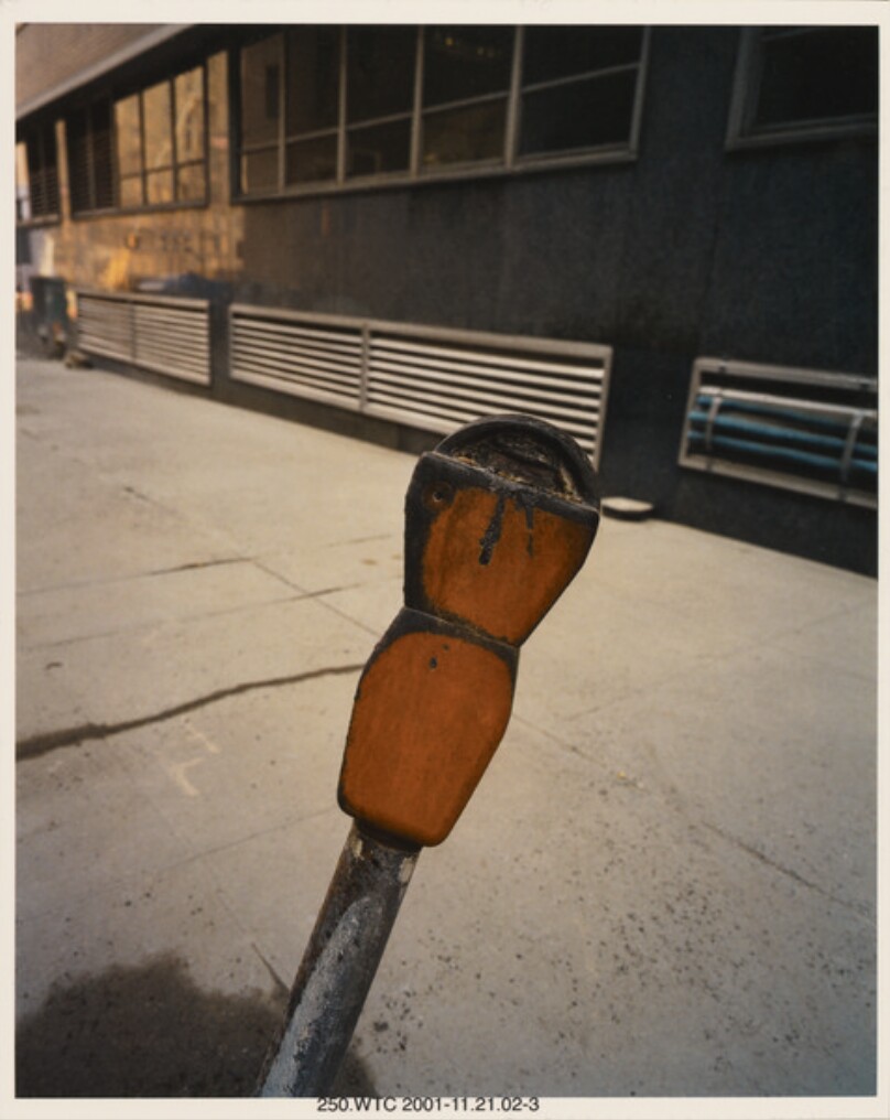 Burned Parking Meter
