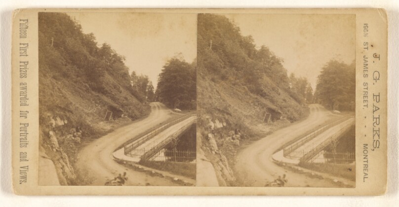 [Drive - Mount Royal Park, Canada]