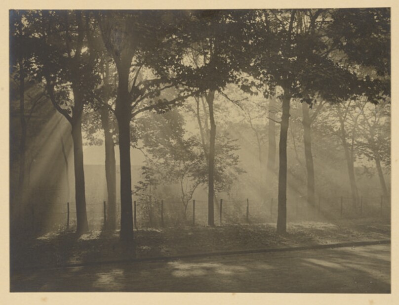 Bois de Vincennes