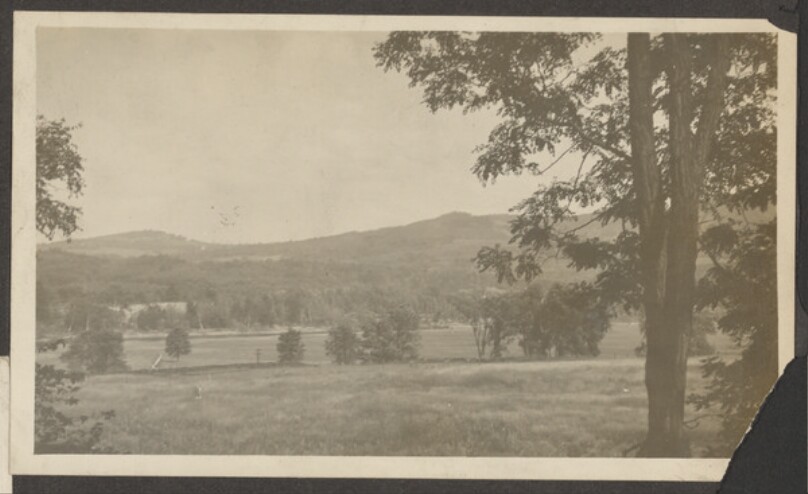 [Country landscape]