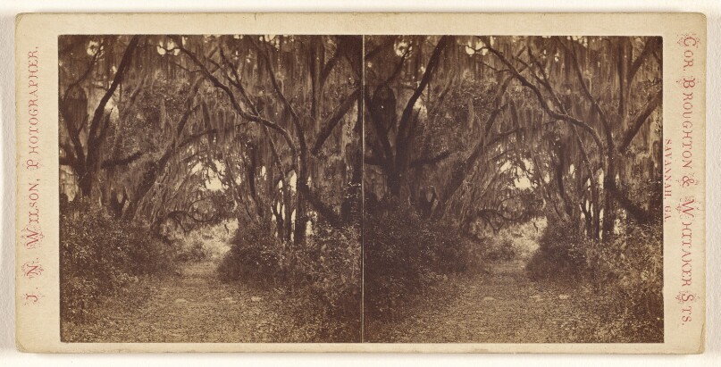 [Bonaventure Cemetery]