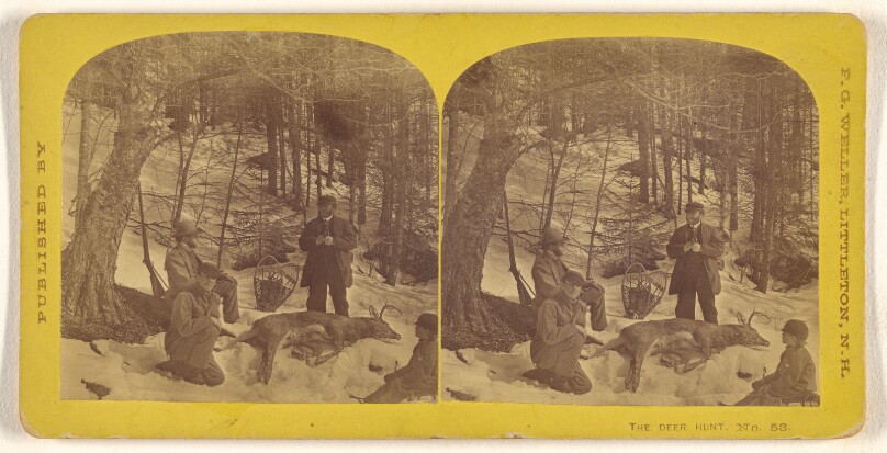 The Deer Hunt.