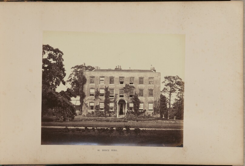 Beech Hill