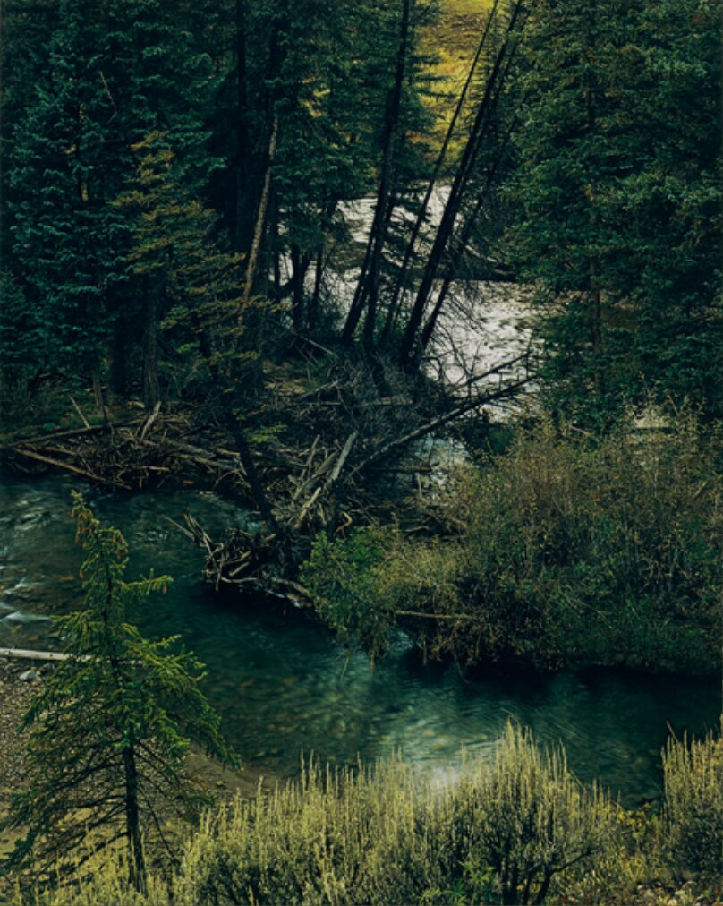 Spruce Trees and River, Ashcroft Road, Colorado
