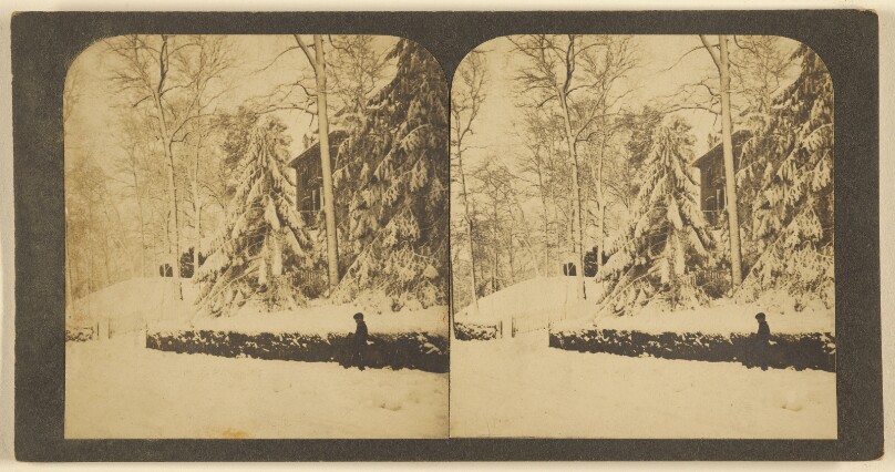 [Chestnut Avenue, Jamaica Plains, Mass.]