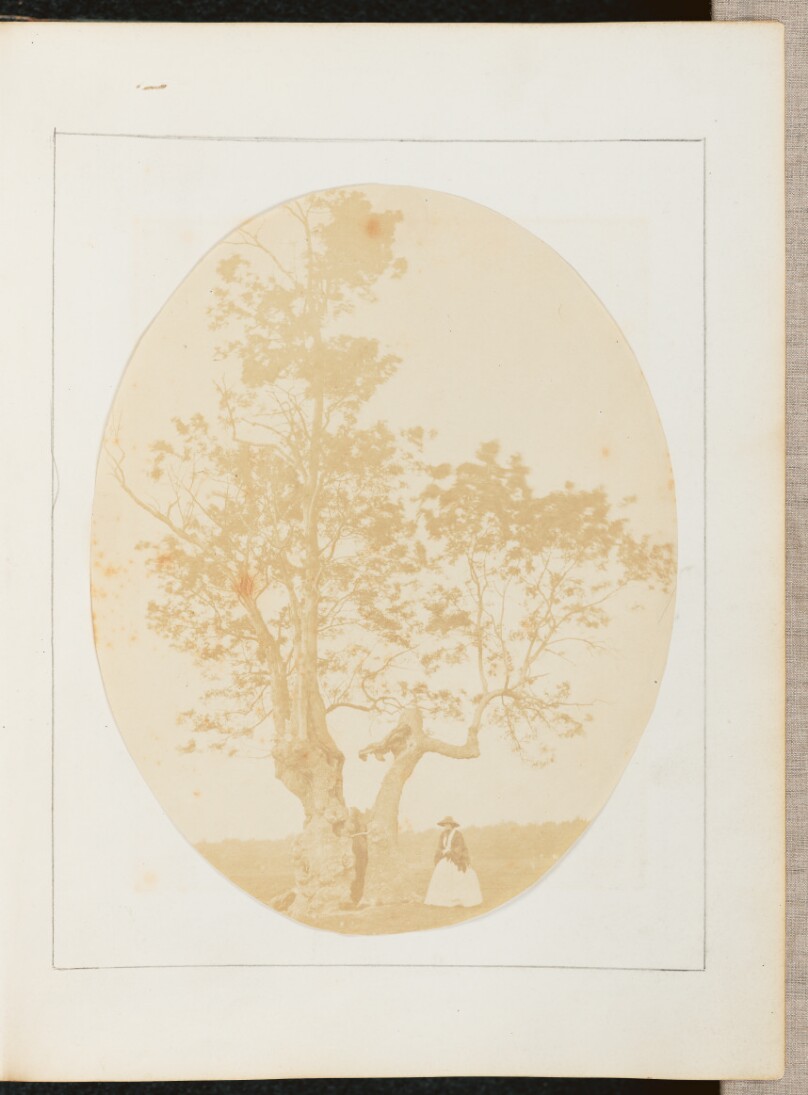 [A Woman Posing Near a Tree]