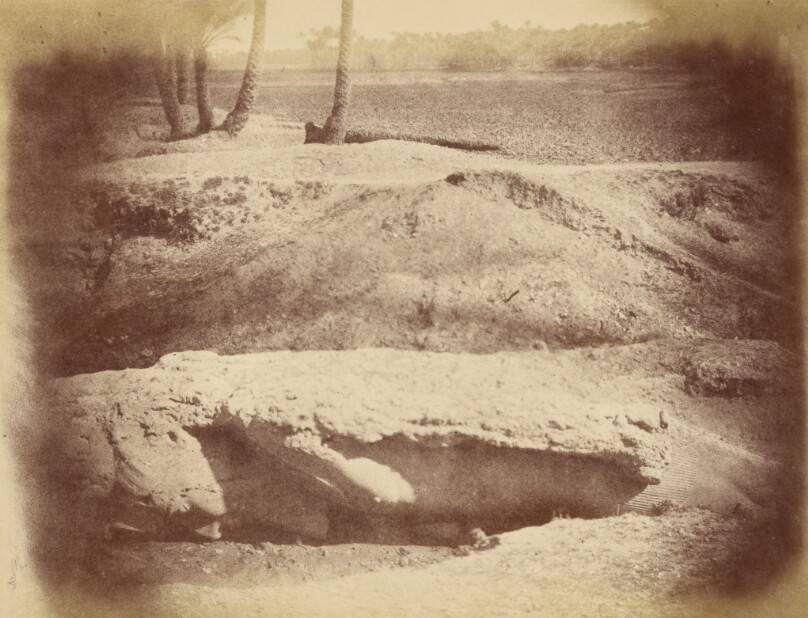 [Close-up of a Sculpture on an Excavated Site]