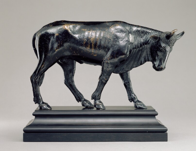 Bull with Lowered Head