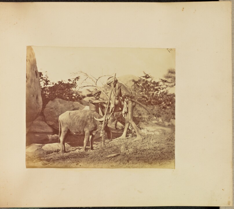 [Men and Bull]
