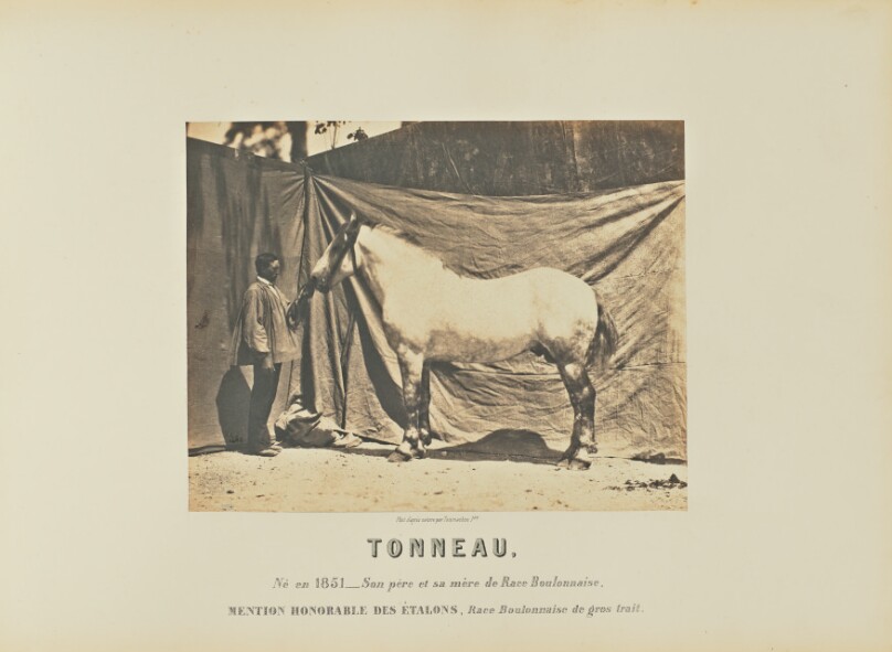 Tonneau