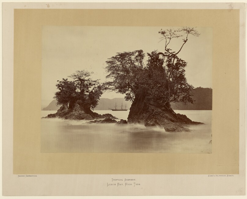 Limon Bay, High Tide.