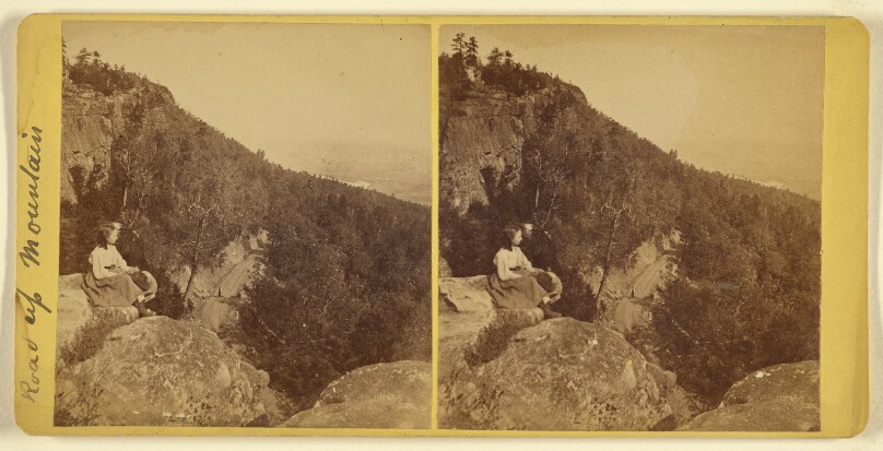 [Road up Mountain, Lookout Mountain, Tennessee]