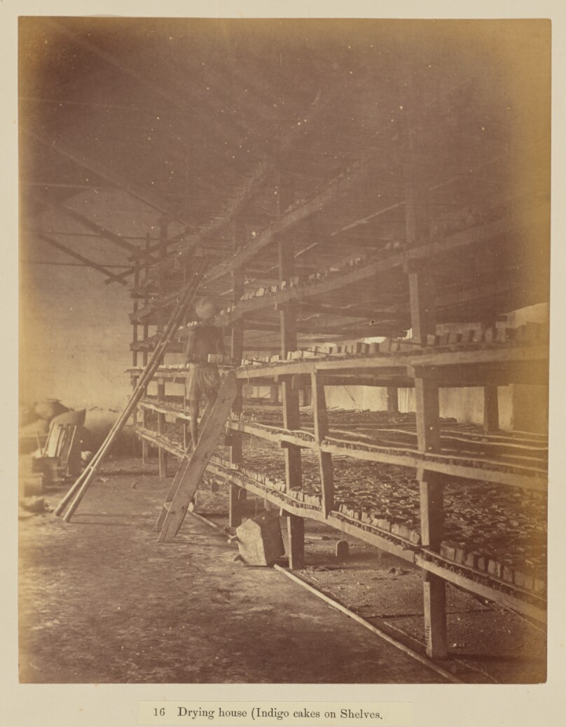 Drying house (Indigo cakes on Shelves)