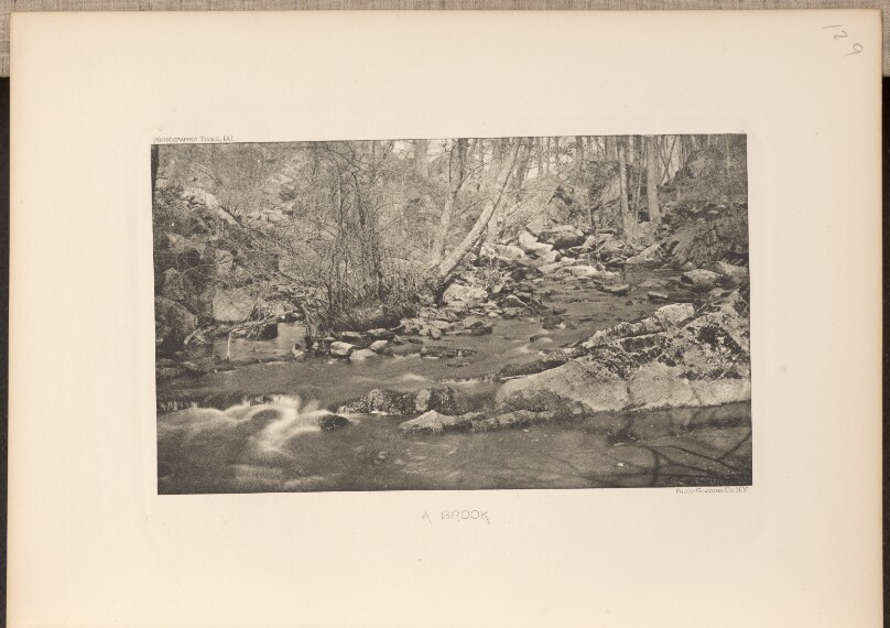 A Brook