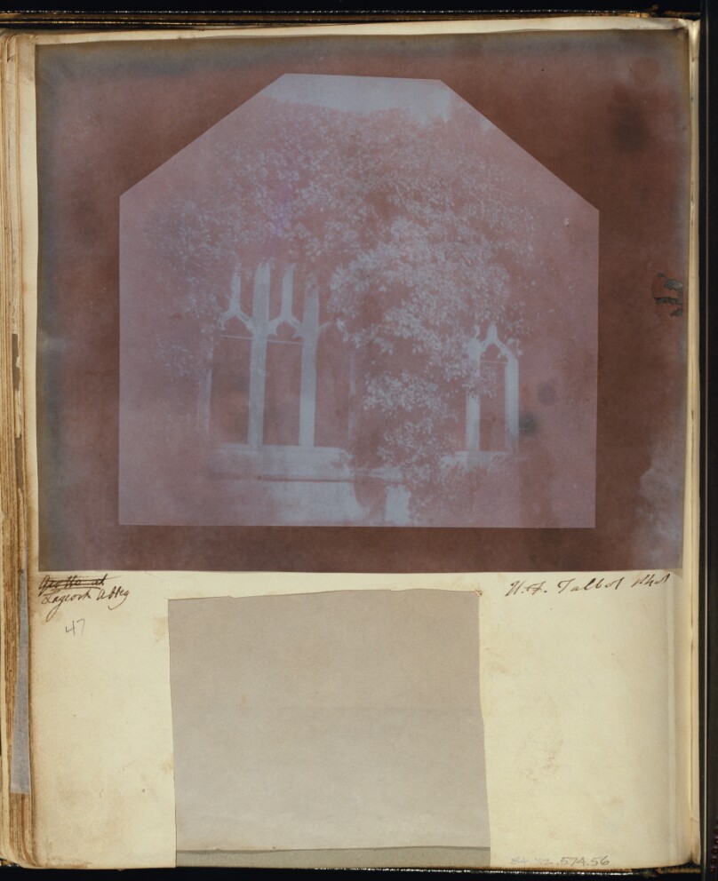 ["Cloisters, an ivy bush, 3' bright"] / [Detail of the Cloisters at Lacock Abbey]