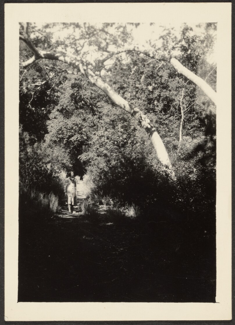 [Woman on Path in Woods]