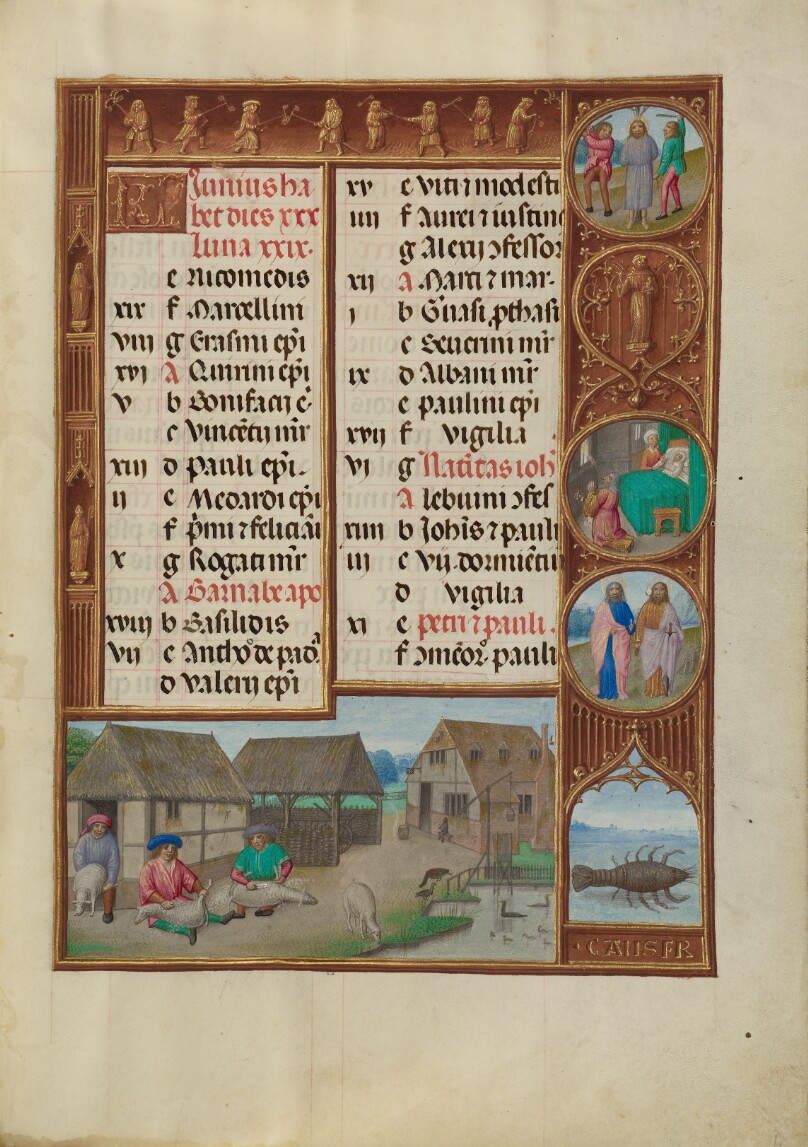 June Calendar Page; Sheepshearing; Cancer