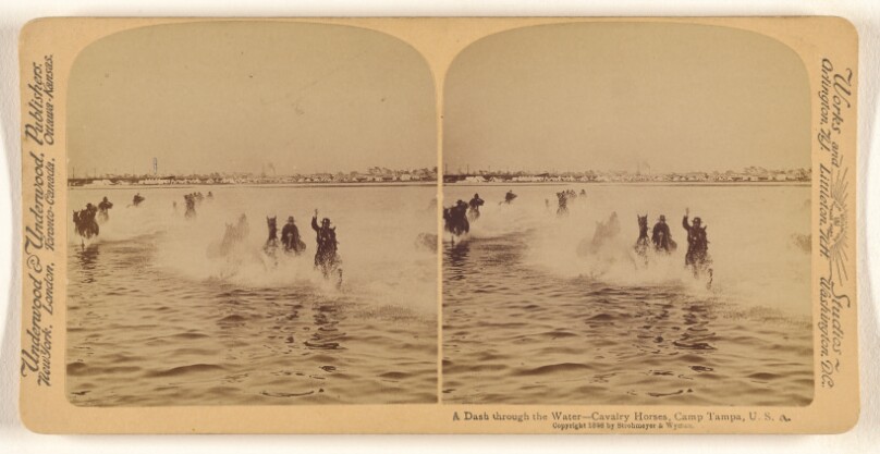 A dash through the water, - Cavalry Horses, Camp Tampa, Florida, U.S.A.