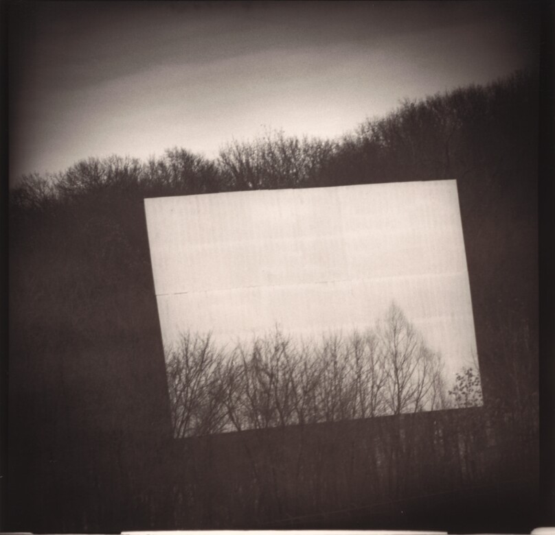 Drive In Trees