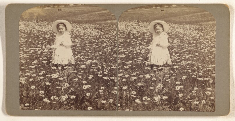 [M.E. Wendt among the daisies. July 3 1902]