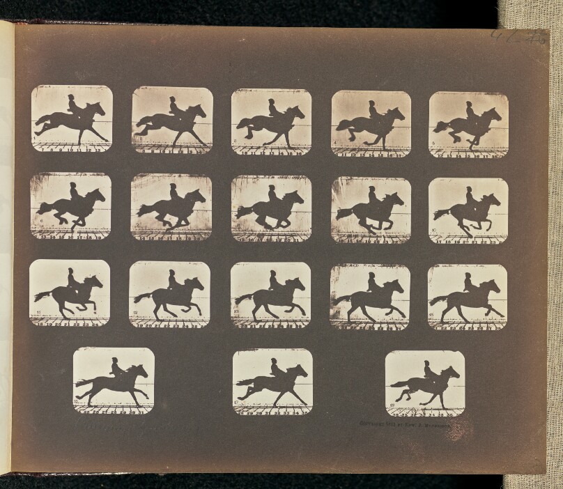 Running (Galloping)