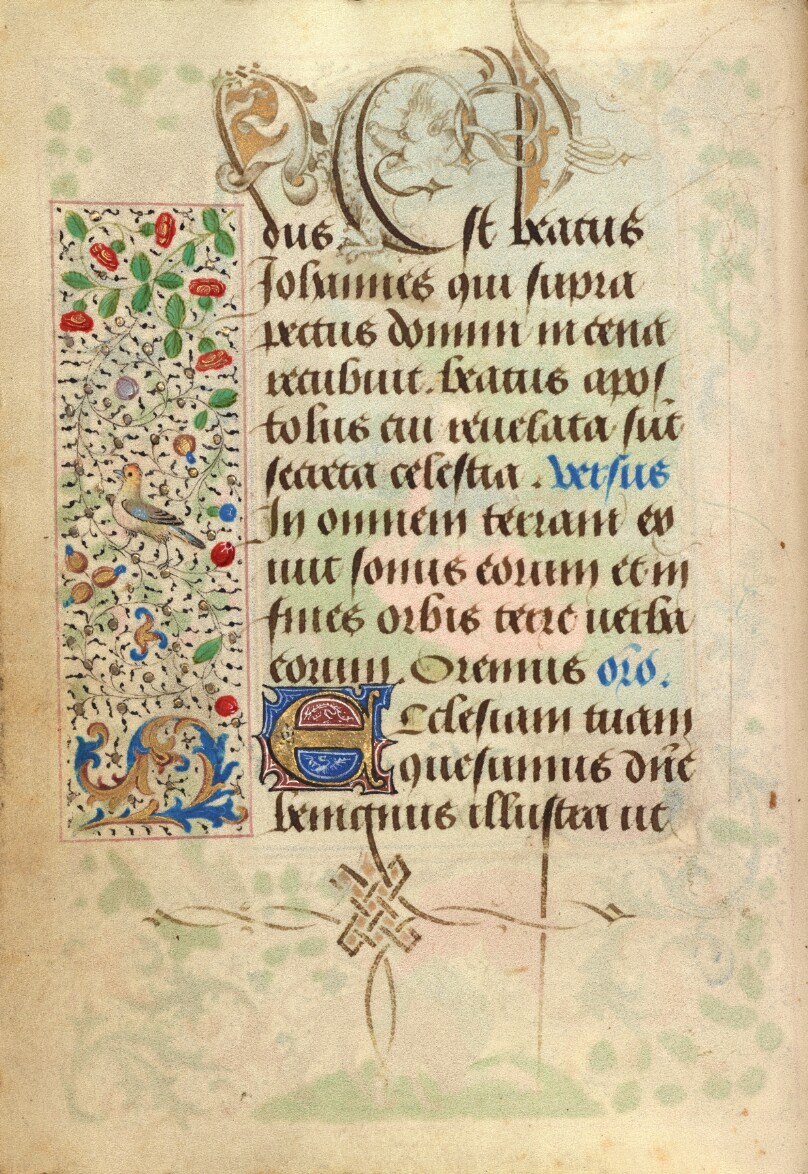 Decorated Text Page