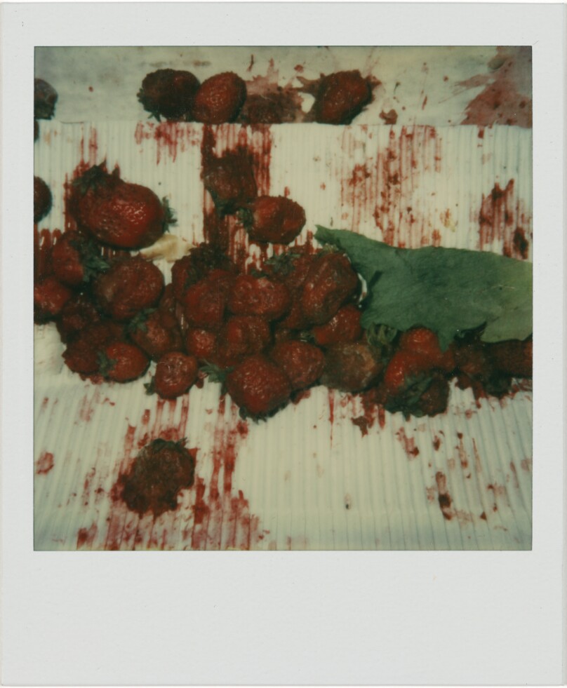 Untitled (Strawberries, Boston, MA)
