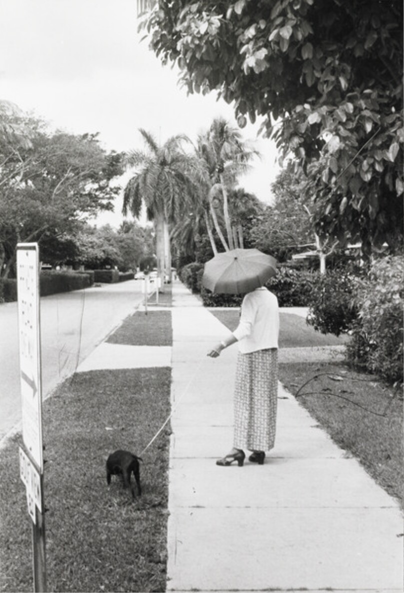 Palm Beach, Florida - "This is the neighborhood of the Woolworths and the Fords. It is very depressing, you never see anyone but gardeners and a few dogs."