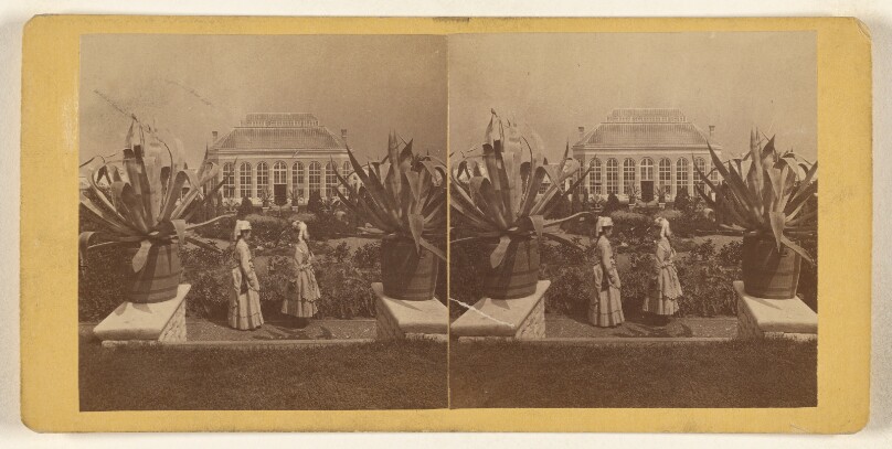 Shaw's Garden. Parterre and Palm-House. [St. Louis, Missouri]