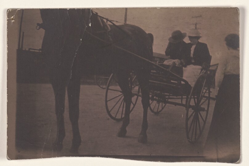 [Horse-drawn carriage ride]