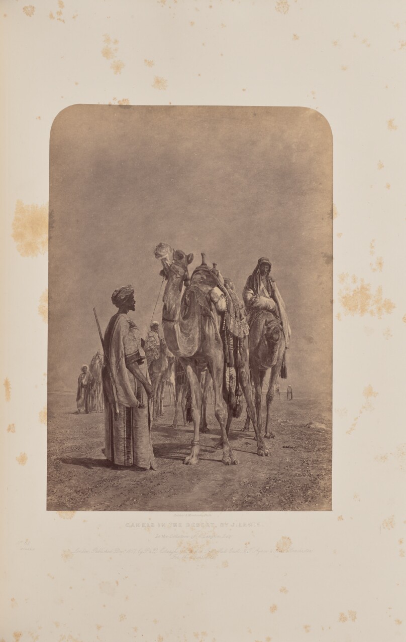 Camels in the Desert, by J. Lewis