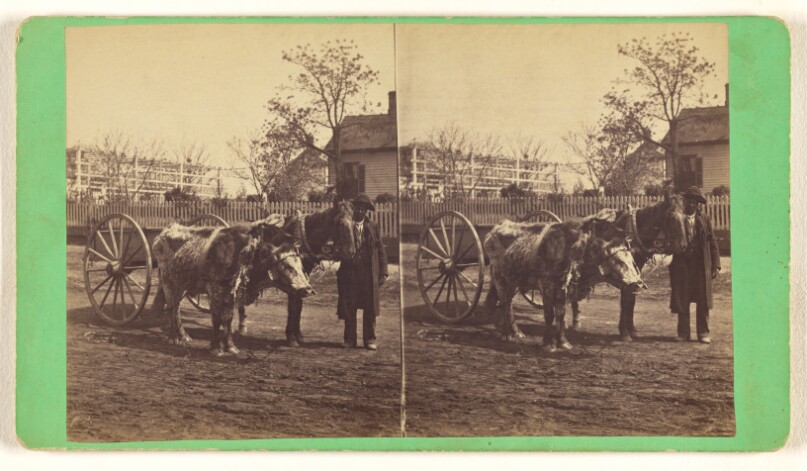[One of the Teams]