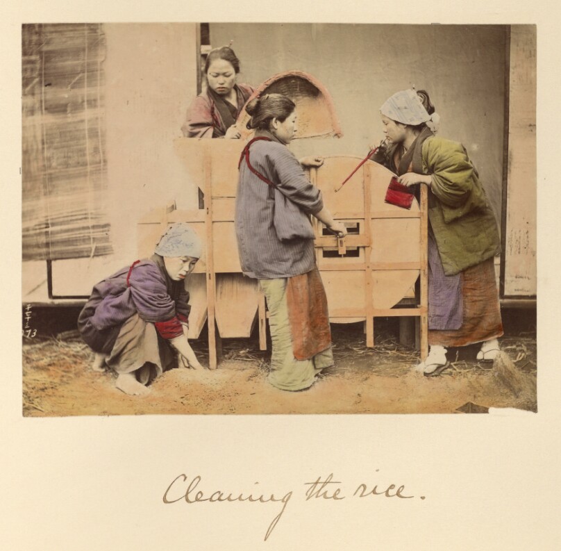 Cleaning the rice