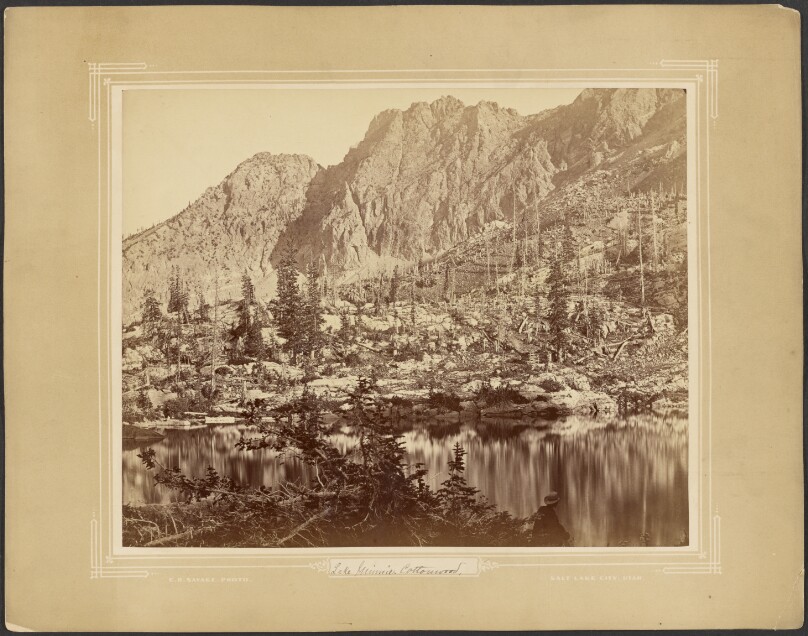 Lake Minnie, Cottonwood