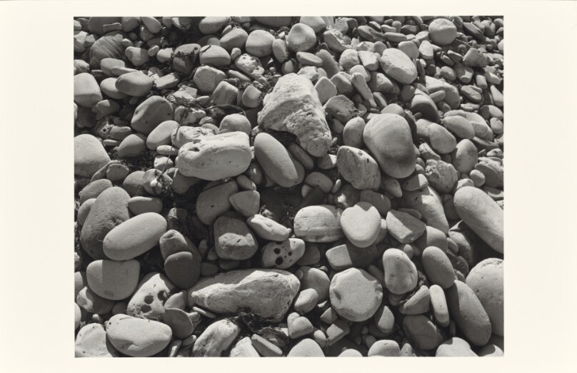 Ellwood Beach, 25