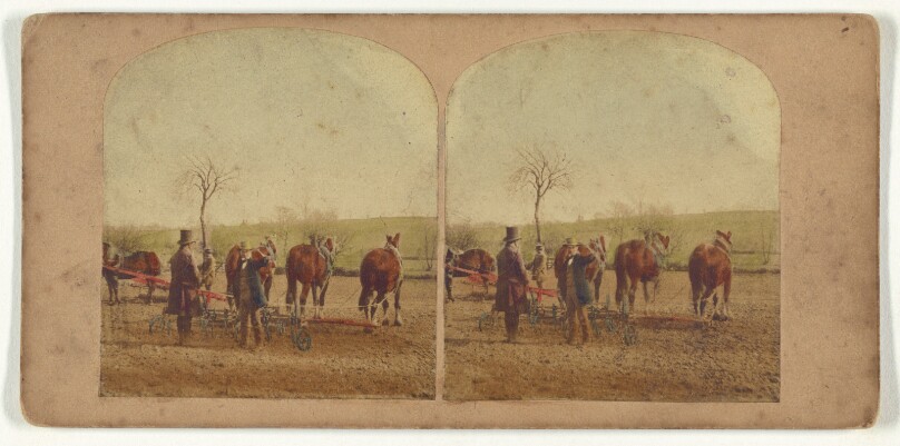[Two men in field with an agricultural machine hooked up to a team of horses]