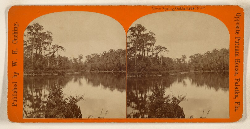 Silver Spring, Ocklawaha River.