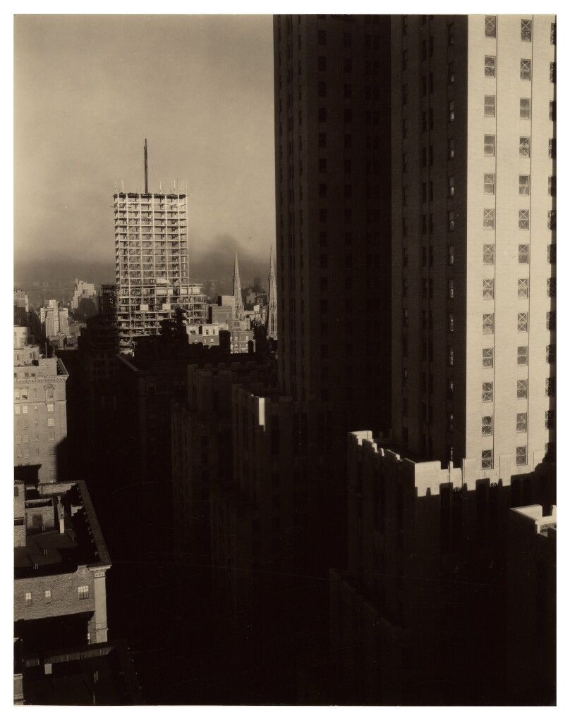 From the Shelton