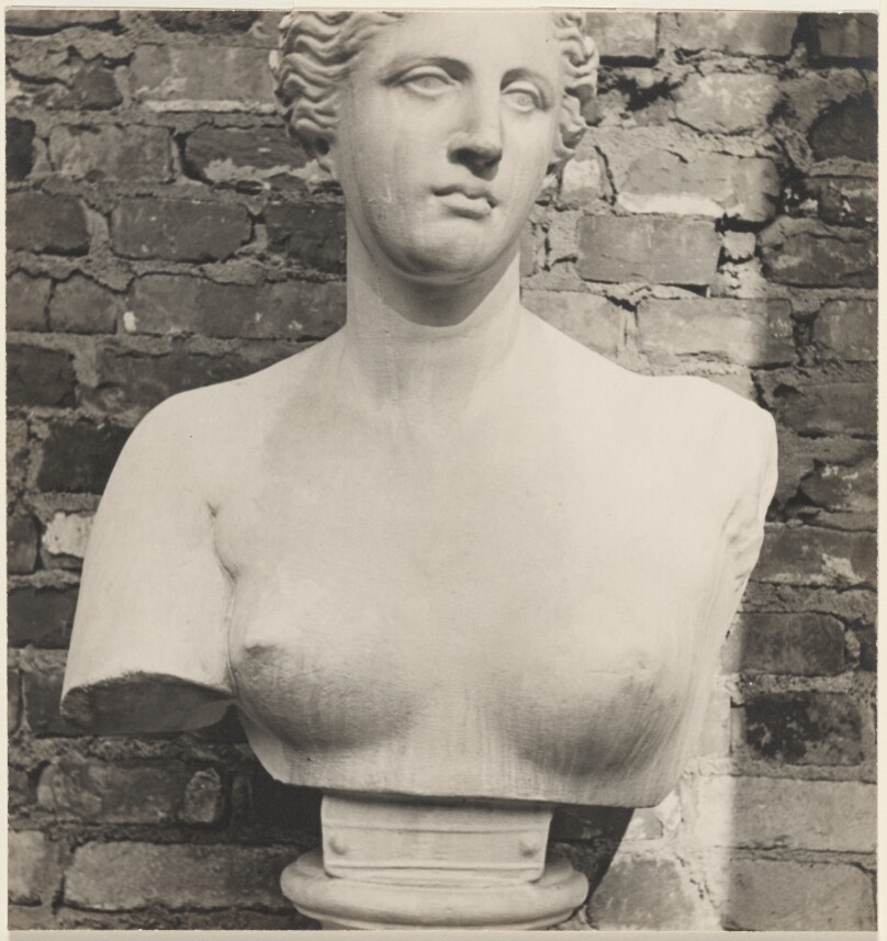 [Bust, Crowninshield Garden]