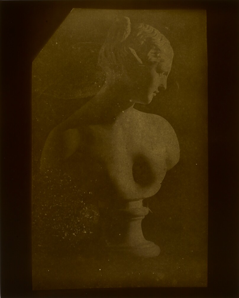 Bust of Venus, November 26, 1840