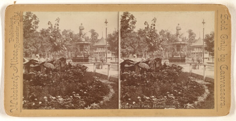 Public Park, Hornellsville, N.Y.