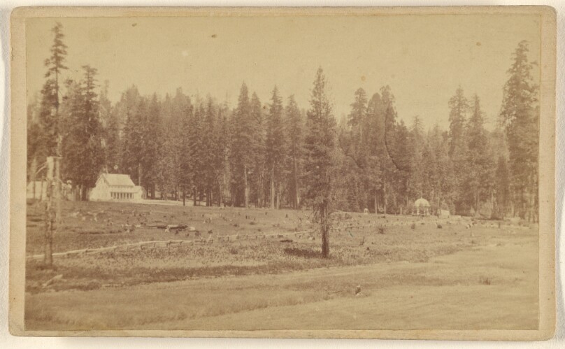 General view of the Mammoth Grove and Hotel, Calaveras County.