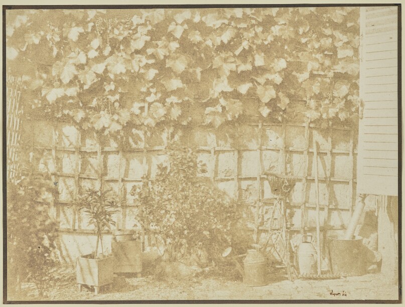 [Garden Wall with Tools]