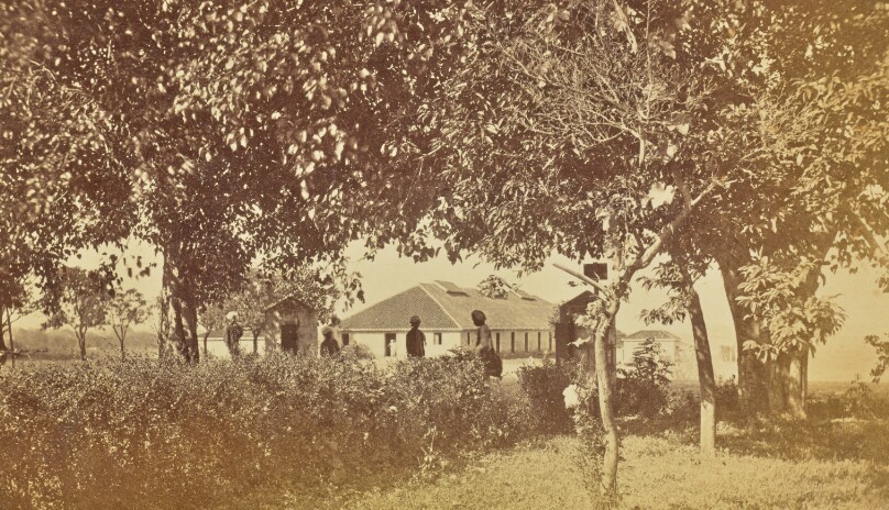 [Buildings]