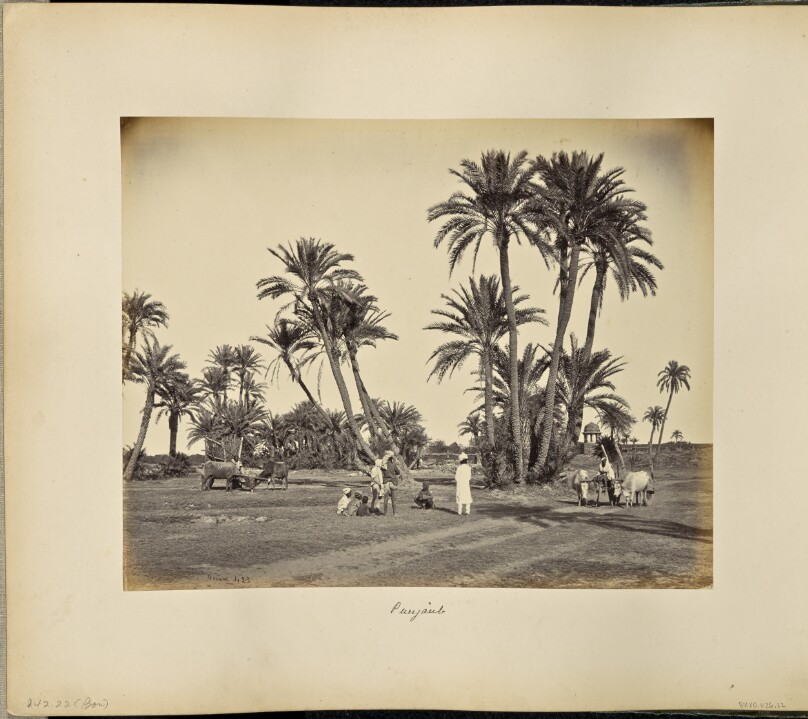 Indian Landscape near Lahore