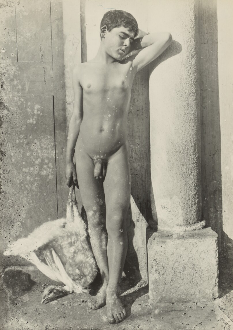 [Boy with a turkey]